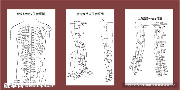 中医针灸全身穴位经络参照图