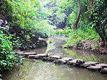 黄果树风景