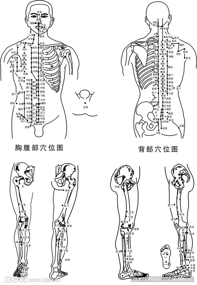 腹部 背部 上下肢穴位图