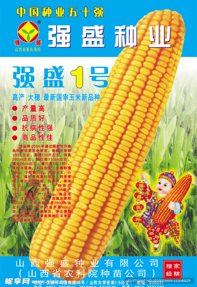 玉米海报展板
