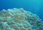 海底世界