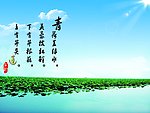 荷花湖