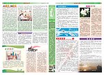 校刊背面