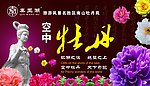 秦王湖南山空中牡丹苑