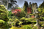 山水风景 风景名胜 建筑景观 自然风景 旅游印记 日本茶花园