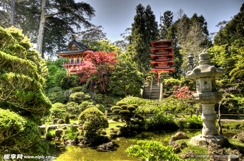 山水风景 风景名胜 建筑景观 自然风景 旅游印记 日本茶花园