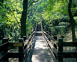 山水风景 风景名胜 建筑景观 自然风景 旅游印记 台北公园一角