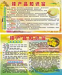 蜂产品知识窗