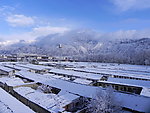 拉萨2010雪景