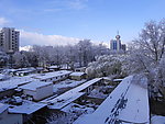 拉萨2010雪景