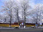拉萨2010雪景
