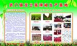 安全无公害