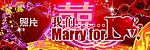 个性婚庆车牌贴
