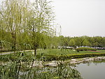 满园春