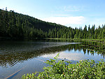 山水风景 田园风光 风景名胜 建筑景观 自然风景 旅游印记 森林 热带雨林 春天 湿地