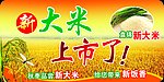 大米 新大米 新米
