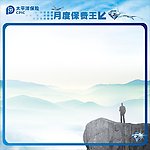 太平洋人寿模板