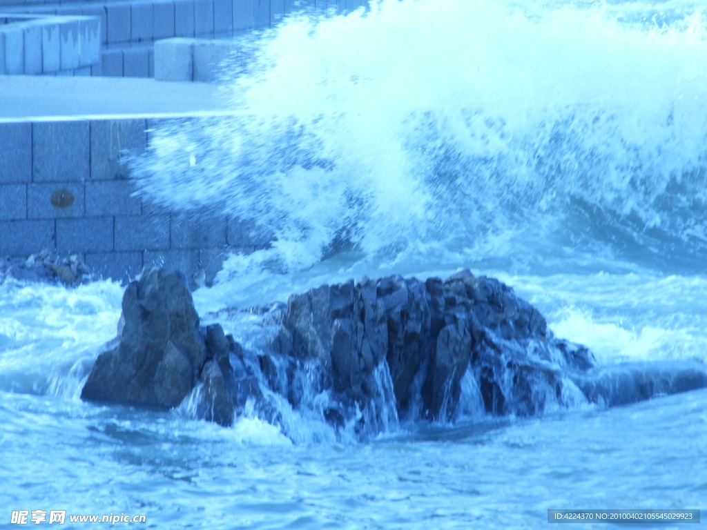 海浪花