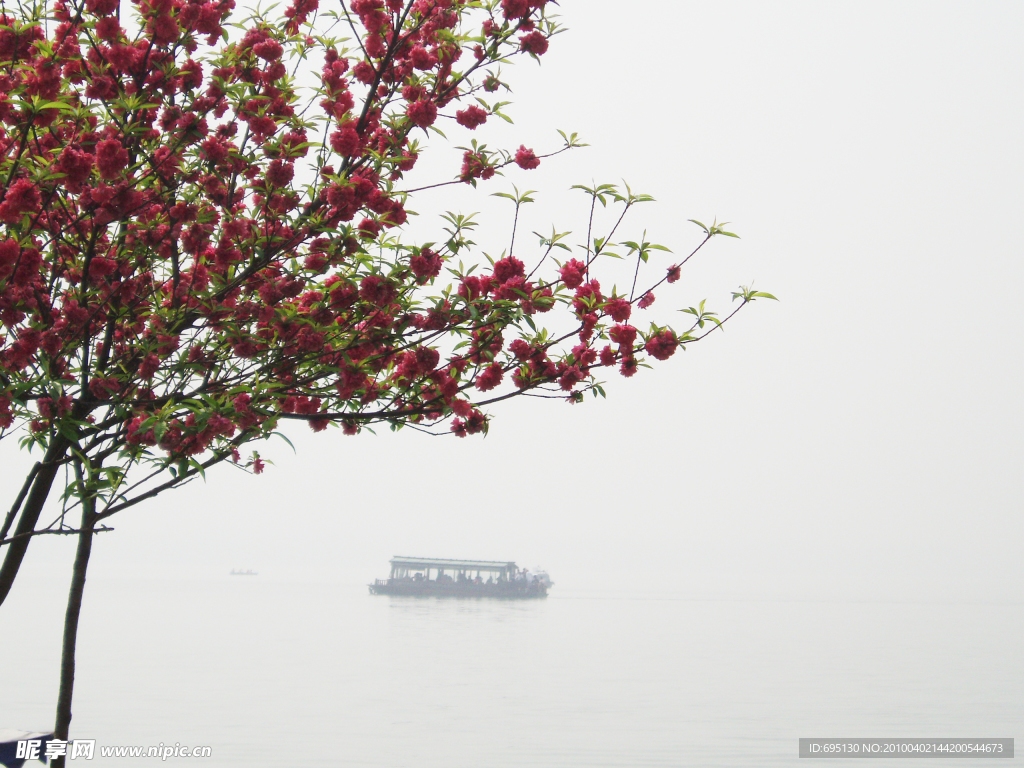 浪漫桃花