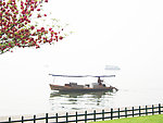 西湖边的浪漫1