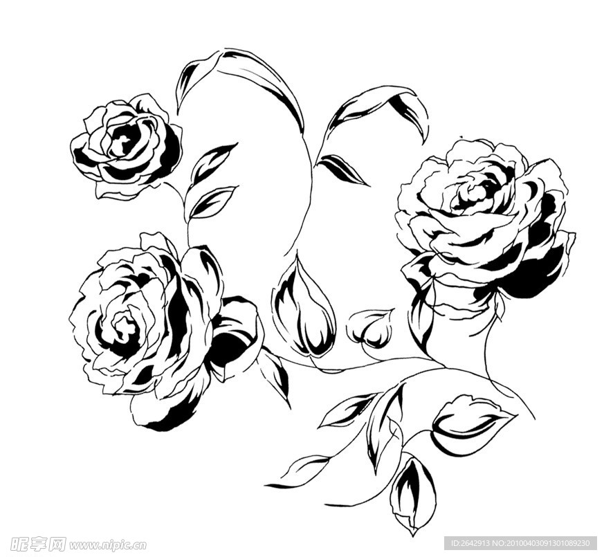 玫瑰花