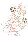 花纹 花