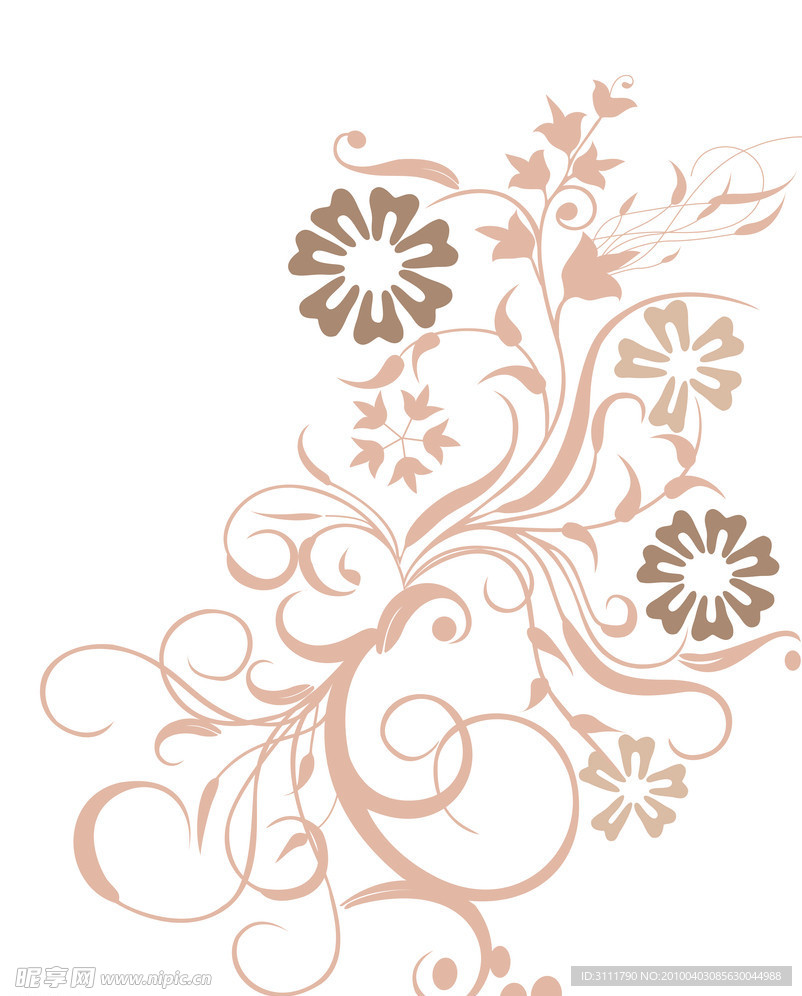 花纹 花