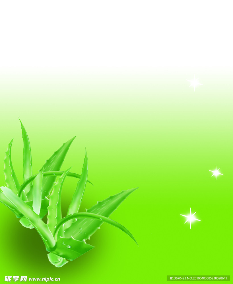 芦荟