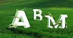 绿色上的字母