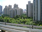 沪上风光