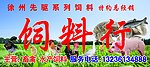 饲料