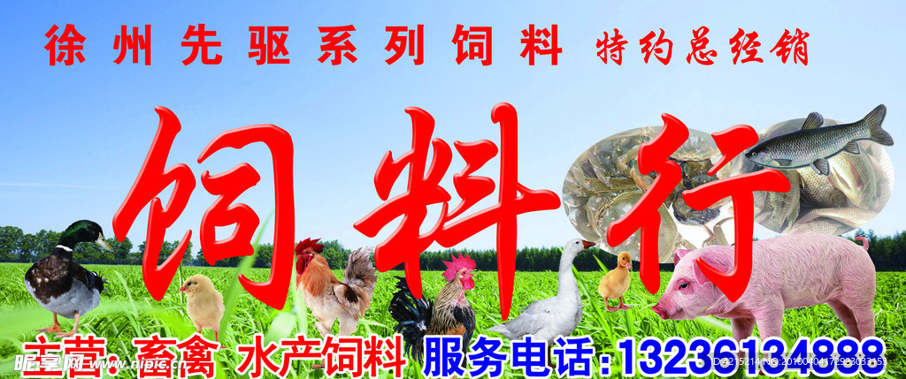 饲料
