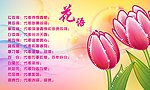 花语