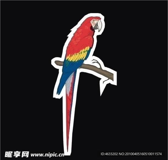 矢量鹦鹉