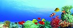 海底世界
