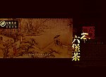 六堡茶包装