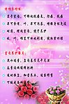 红豆杉