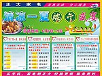 家电端午节单页