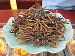 冬虫夏草（红色）