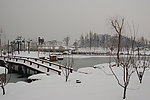 雪景