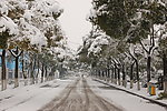 雪景