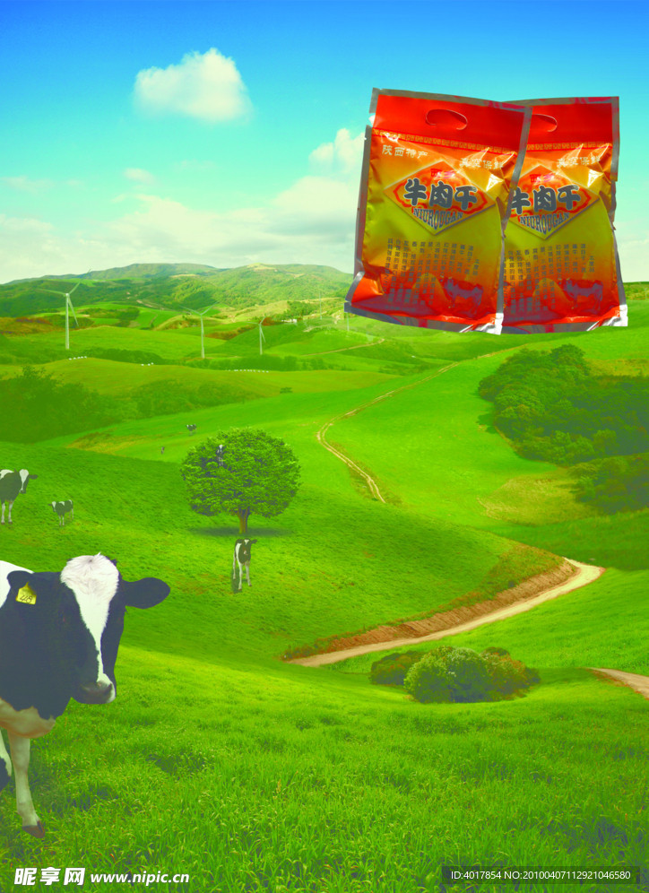 牛肉干