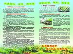 园林城市宣传