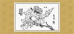 富贵花开