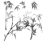 竹子素材