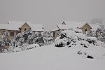 雪景