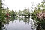 西湖美景