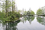 西湖美景
