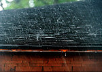 檐雨 波尔卡
