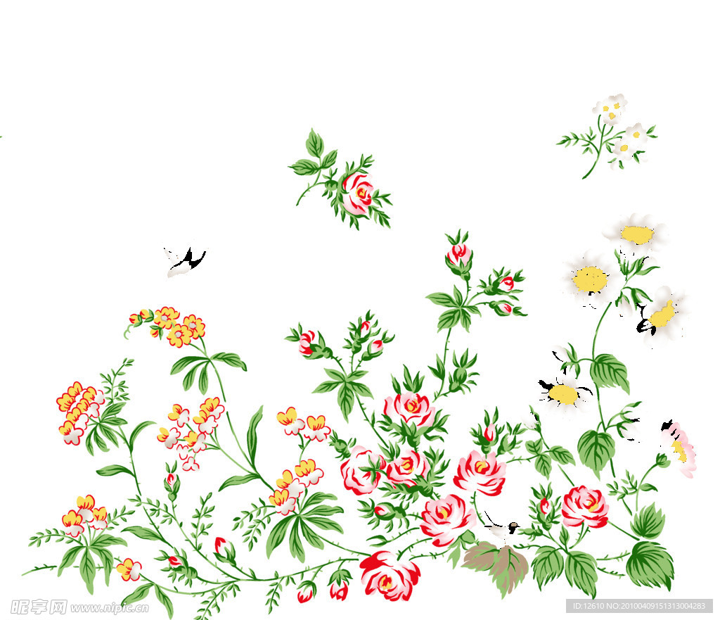 花朵